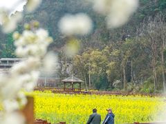 -高荡千年布依古寨旅游景区