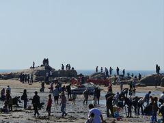 -老虎石海上公园