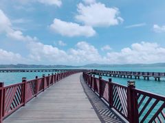 -汕尾风车岛