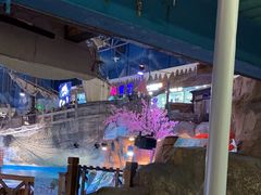 -海合安青岛极地海洋公园