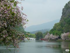 -星湖旅游景区七星岩