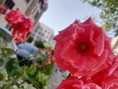 -喜鹊愉家酒店(郑州曼哈顿博览中心地铁站店)