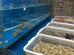 水产区-金谷园饺子·烧烤·家宴(人大总店)