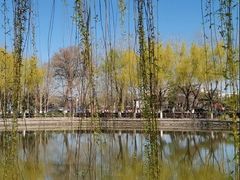 -康庄公园