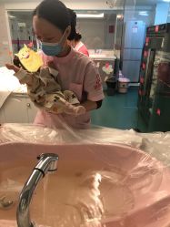 -大美臻喜母婴(重庆创始店)