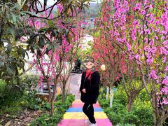 -桃源山庄·水蜜桃采摘·柴火鸡·烧烤团建(龙泉山店)