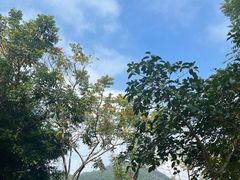 -凤岗南门山森林公园