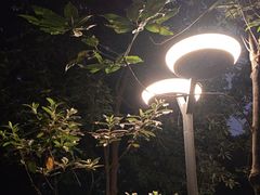 -成都市活水公园