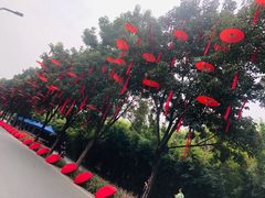 -武汉园博园(武汉自然博物馆)