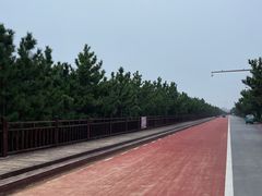 -日照海滨国家森林公园