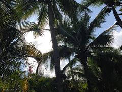 -三亚珠江南田温泉度假区