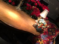 -杂咖zacup(领展中心城店)