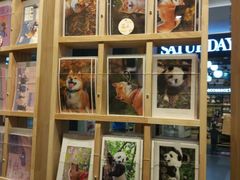 -猫的天空之城概念书店(印象城购物中心店)