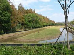 -上海长兴岛郊野公园