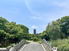 -宜兴龙背山森林公园