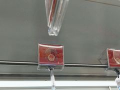 -上海科技馆(地铁站)