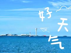 -上海滨江森林公园