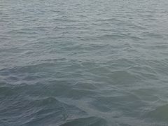 -西湖游船