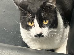 -嘉馨宠物医院·CT影像转诊·心脏科·犬猫全科诊疗中心(下沙大学城院区)