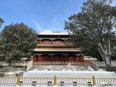 -霸王茶姬(凯德大峡谷店)