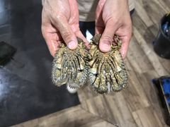 -海盗餐厅