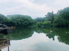 -张鸟园农家乐(张鸟园店)
