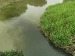 -广东花都湖国家湿地公园