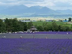 -富田农场