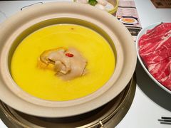 领鲜花胶鸡汤-领鲜天下·焗海鲜·花胶鸡(天目里店)