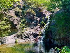 -云岫谷游猎自然风景区