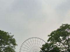 -蠡湖大桥公园