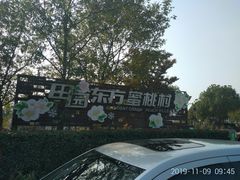 -田园东方蜜桃村的田野营地