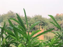 -曼听御花园