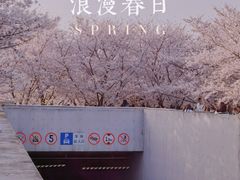 -龙美术馆(西岸馆)