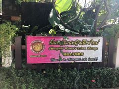 -清迈女子监狱马杀鸡(无分店)