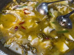 -陈生记黑鱼馆·20年活鱼现杀(宁波鼓楼店)