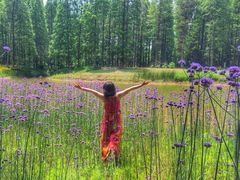 -黄海国家森林公园