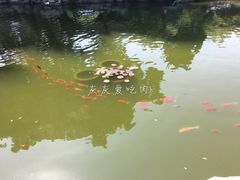 -口岸雕花楼