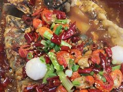 -鱼酷活鱼烤鱼(沈阳大悦城店)