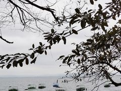 -抚仙湖禄充风景区
