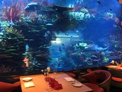 -迪拜帆船酒店海底餐厅