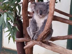 -费瑟代尔野生动物园