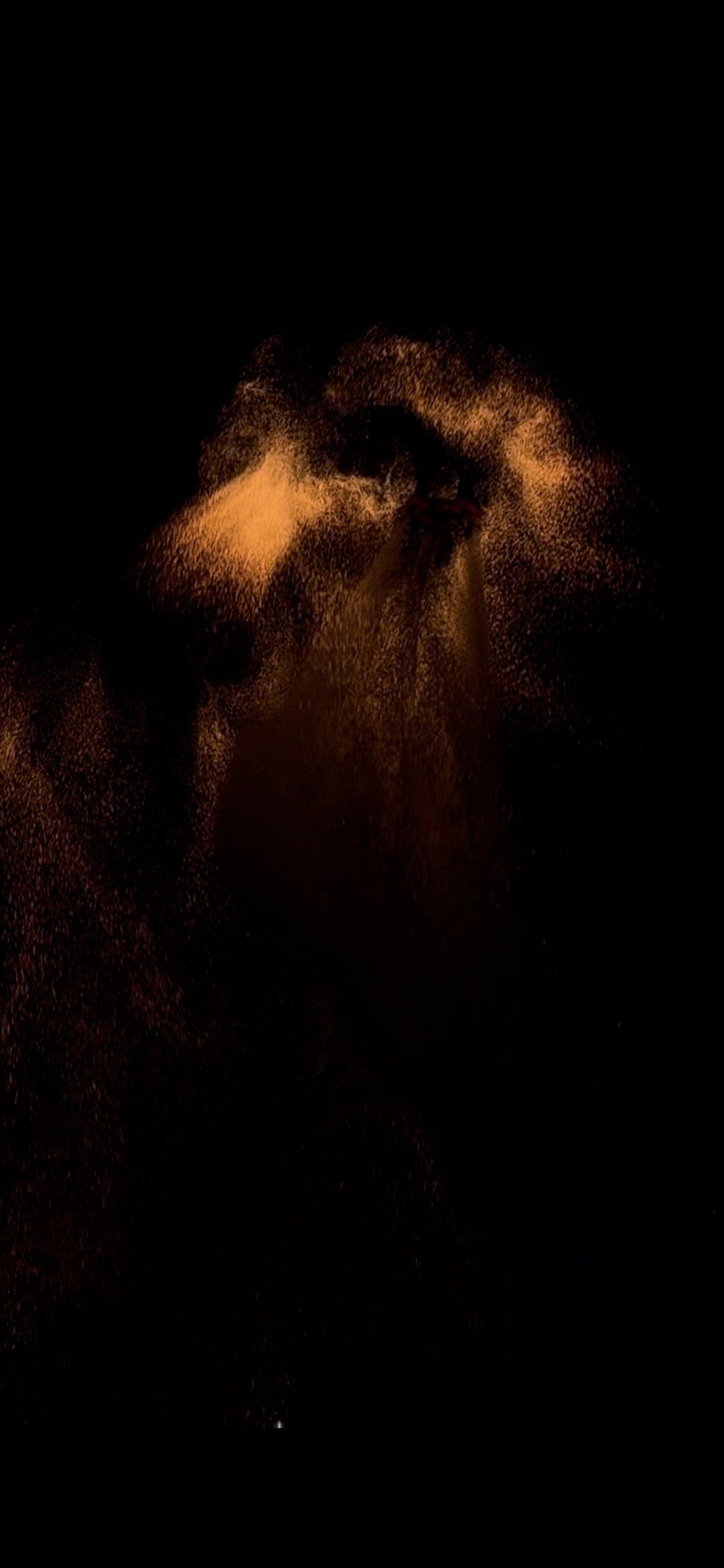 夜晚的神秘影子