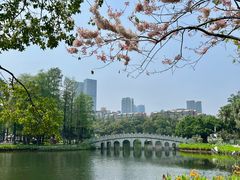 -四海公园(南山区)