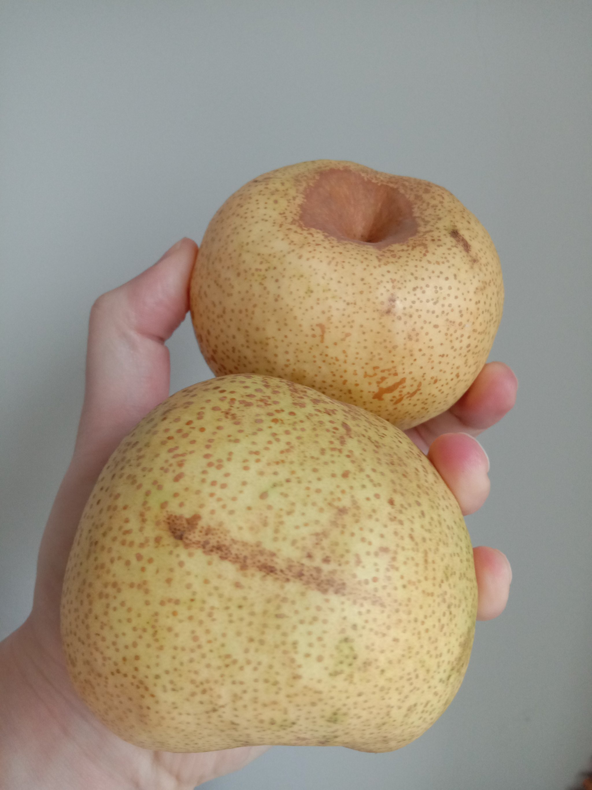 梨子很大汁水很多!