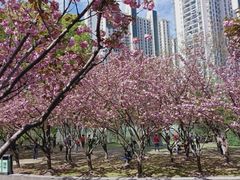 -苏州河梦清园环保主题公园