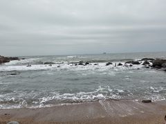 -广东惠东海龟国家级自然保护区