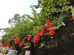 -三门江国家森林公园