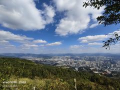 -长虫山生态公园风景林
