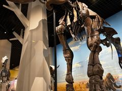 -国家自然博物馆